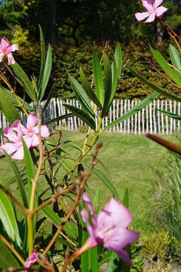 Vakantiehuis Vlakbij Het Strand En Natuur Villa Biervliet Dış mekan fotoğraf